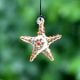 Multicolor Beach Theme Assorted Starfish Christmas Tree Ornaments Set of 10 Pcs